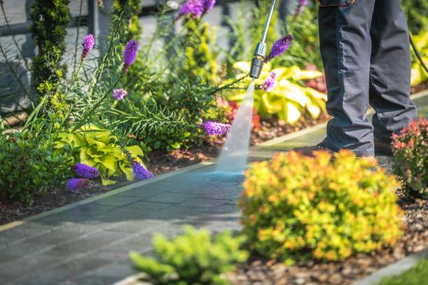 Best Boat and Dock Cleaning  in Peotone, IL