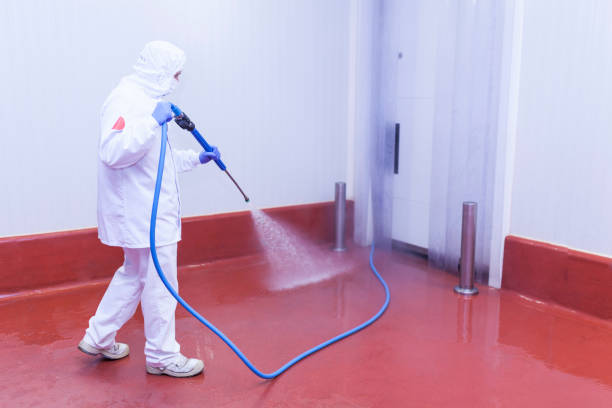 Best Solar Panel Cleaning  in Peotone, IL